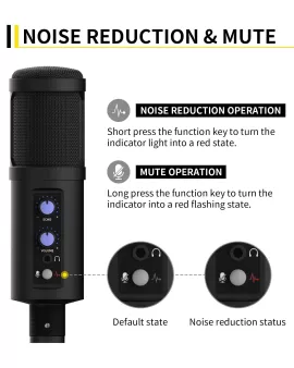 Xtuga BM990 Type C &amp; USB Condenser Microphone